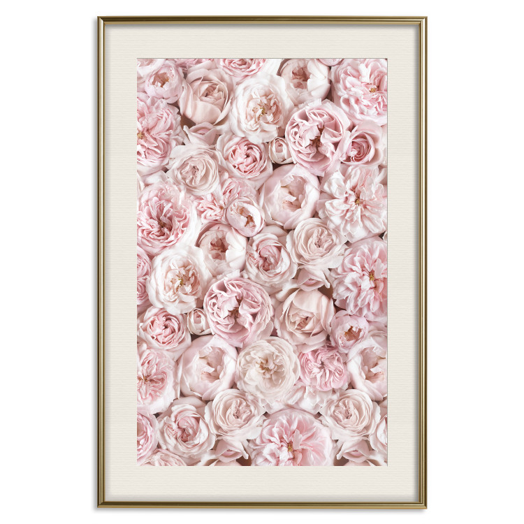 Wall Poster Garden Flowers - composition of pink flowers in a romantic motif 135587 additionalImage 26