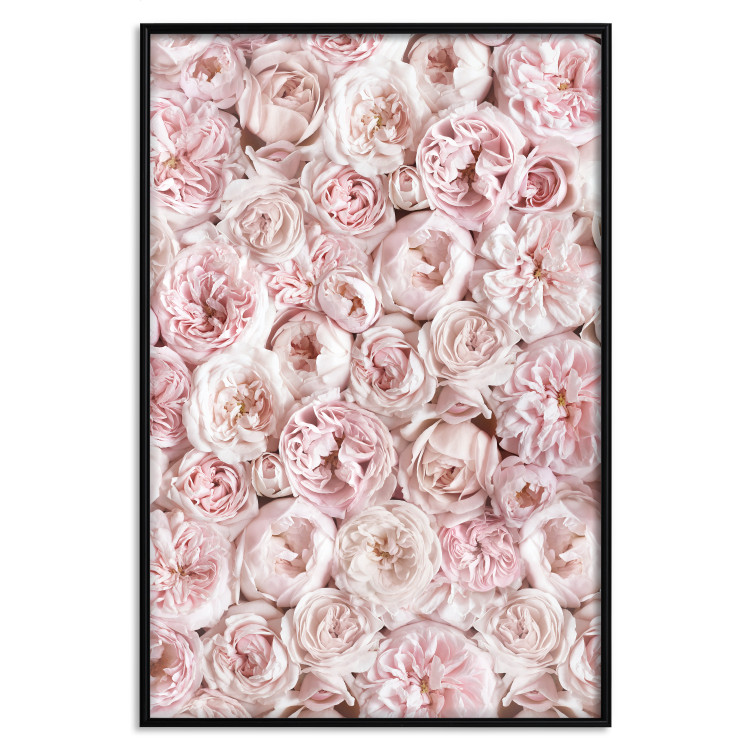 Wall Poster Garden Flowers - composition of pink flowers in a romantic motif 135587 additionalImage 21