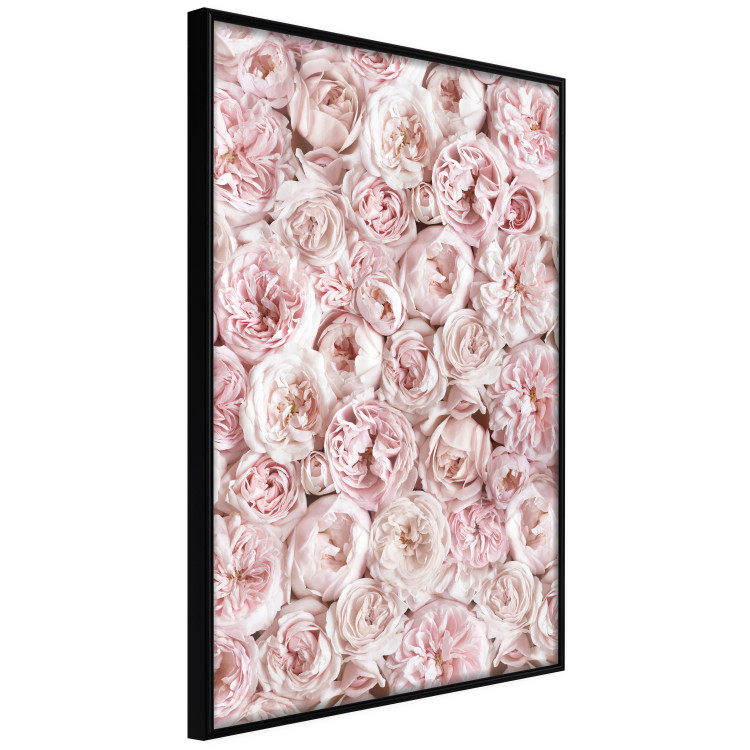 Wall Poster Garden Flowers - composition of pink flowers in a romantic motif 135587 additionalImage 11