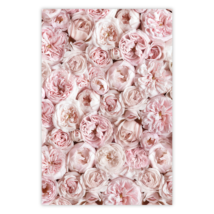 Wall Poster Garden Flowers - composition of pink flowers in a romantic motif 135587
