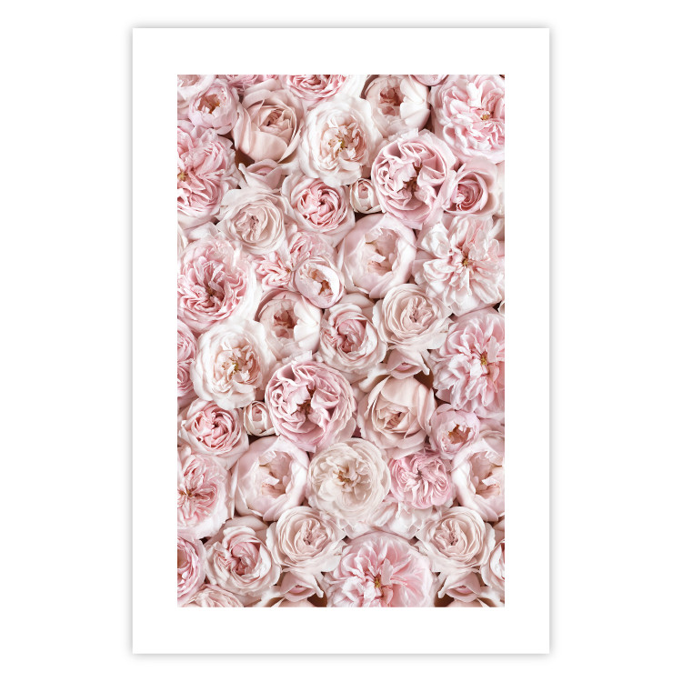 Wall Poster Garden Flowers - composition of pink flowers in a romantic motif 135587 additionalImage 18