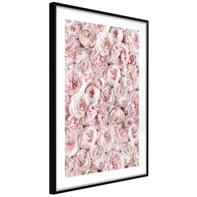Wall Poster Garden Flowers - composition of pink flowers in a romantic motif 135587 additionalImage 9