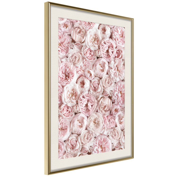 Wall Poster Garden Flowers - composition of pink flowers in a romantic motif 135587 additionalImage 8