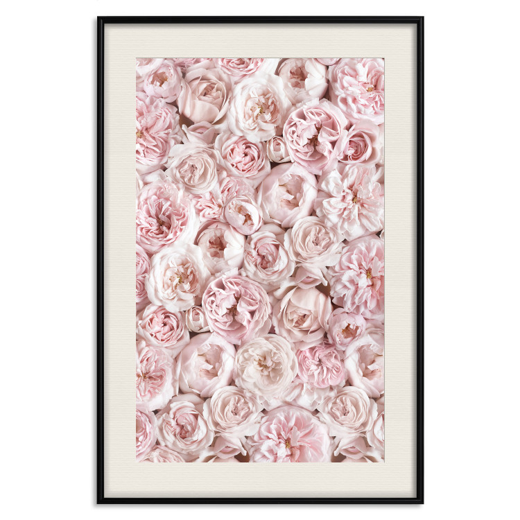 Wall Poster Garden Flowers - composition of pink flowers in a romantic motif 135587 additionalImage 27