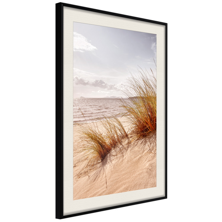 Wall Poster Afternoon Wind - seascape and sandy beach in summer 135887 additionalImage 8