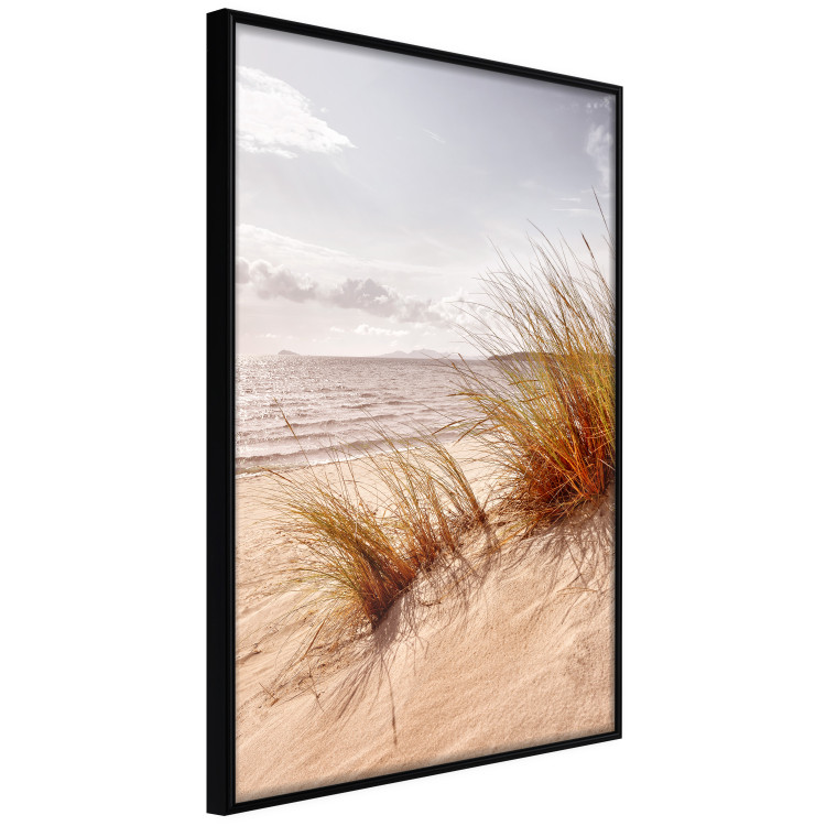 Wall Poster Afternoon Wind - seascape and sandy beach in summer 135887 additionalImage 4