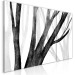 Canvas Print Forest Silence (3-piece) - black and white composition with bare trees 138187 additionalThumb 2