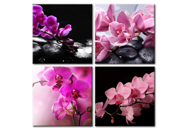 Canvas Print Orchids more beautiful than ever 58687