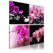 Canvas Print Orchids more beautiful than ever 58687 additionalThumb 2