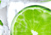 Canvas Frozen lime - still life depicting fruit frozen in ice ankle on a white background 58787 additionalThumb 5