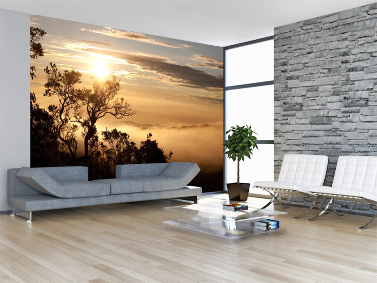 Wall Mural Sky and Trees - Landscape of a Tropical Forest in Mist at Sunset 60487