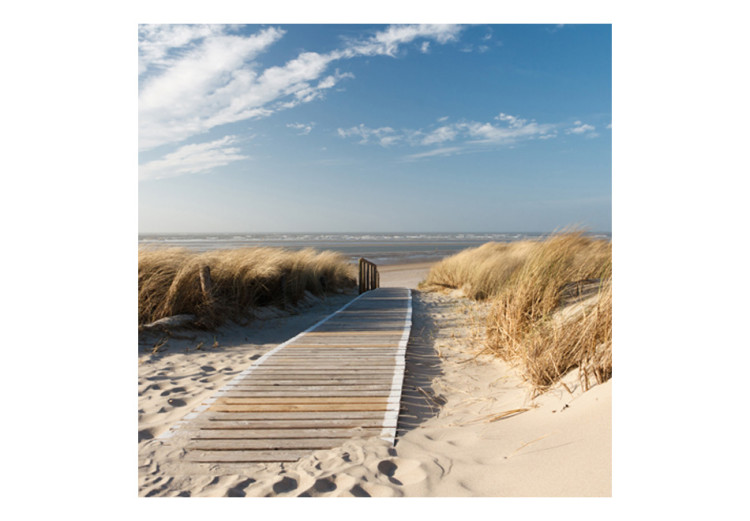 Wall Mural Langeoog - Sandy Beach of the North Sea under the Blue Sky 61587 additionalImage 1