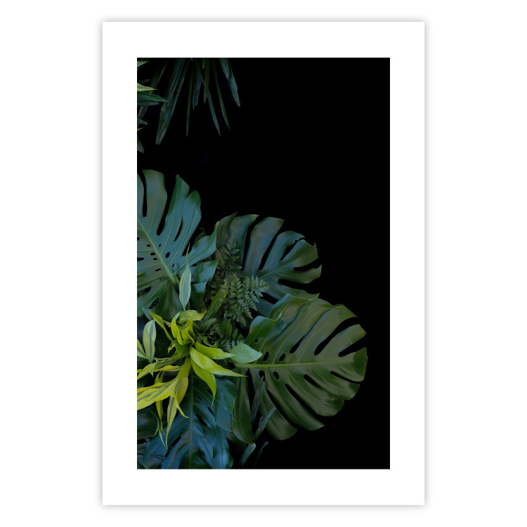 Poster Monstera - Botanical composition of tropical leaves on a black background 114197 additionalImage 16