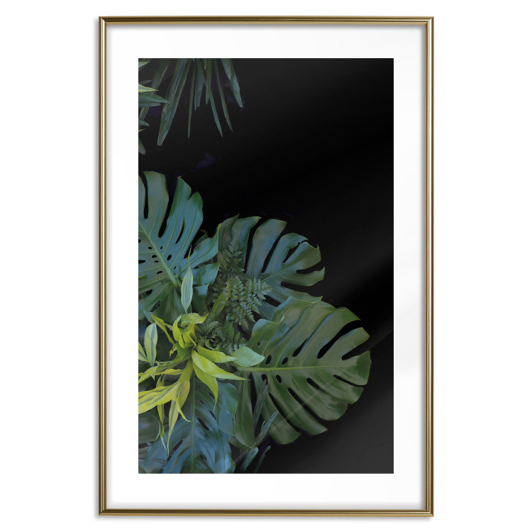 Poster Monstera - Botanical composition of tropical leaves on a black background 114197 additionalImage 18