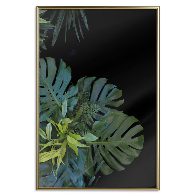 Poster Monstera - Botanical composition of tropical leaves on a black background 114197 additionalImage 15