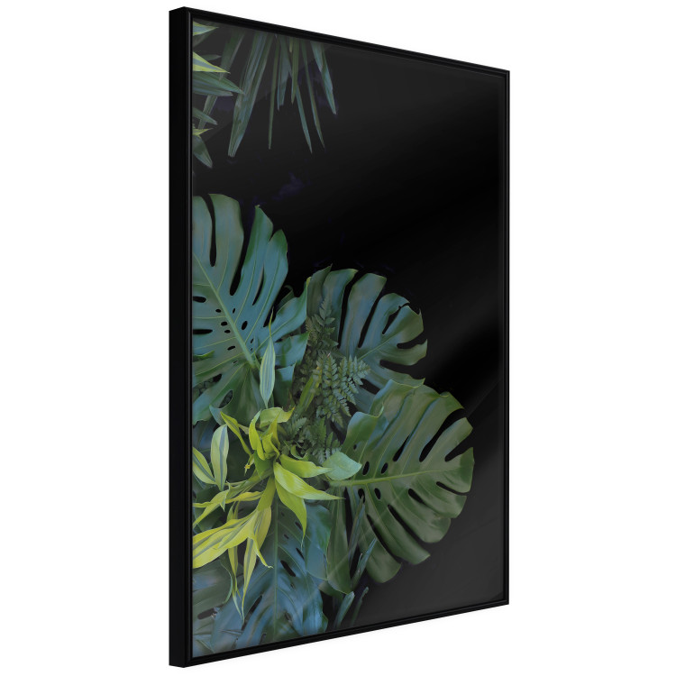 Poster Monstera - Botanical composition of tropical leaves on a black background 114197 additionalImage 11