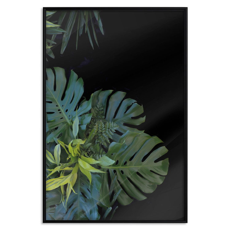 Poster Monstera - Botanical composition of tropical leaves on a black background 114197 additionalImage 14