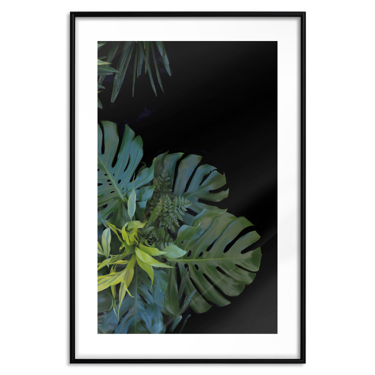 Poster Monstera - Botanical composition of tropical leaves on a black background 114197 additionalImage 17