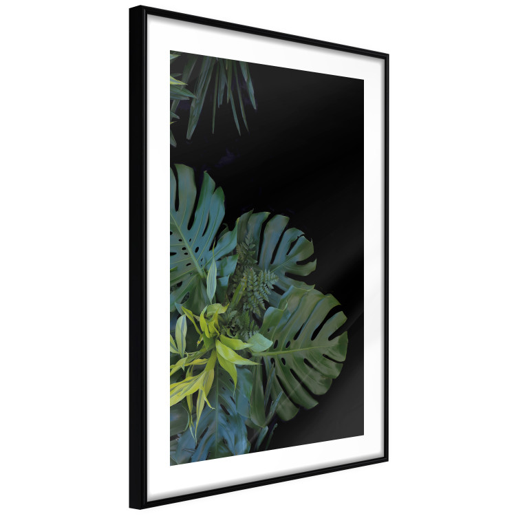 Poster Monstera - Botanical composition of tropical leaves on a black background 114197 additionalImage 6