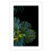 Poster Monstera - Botanical composition of tropical leaves on a black background 114197 additionalThumb 16