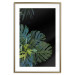 Poster Monstera - Botanical composition of tropical leaves on a black background 114197 additionalThumb 18