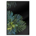 Poster Monstera - Botanical composition of tropical leaves on a black background 114197 additionalThumb 14