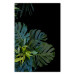 Poster Monstera - Botanical composition of tropical leaves on a black background 114197