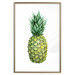 Poster Pineapple - composition with a tropical fruit on a solid white background 114297 additionalThumb 16
