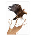 Wall Poster Eagle - Predatory bird and brown paint on a solid background 114397
