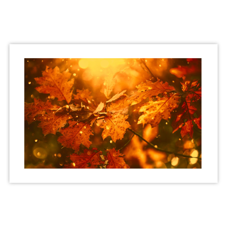 Poster Dancing Leaves - orange plants in golden autumn motif 123797 additionalImage 19