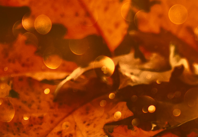 Poster Dancing Leaves - orange plants in golden autumn motif 123797 additionalImage 10