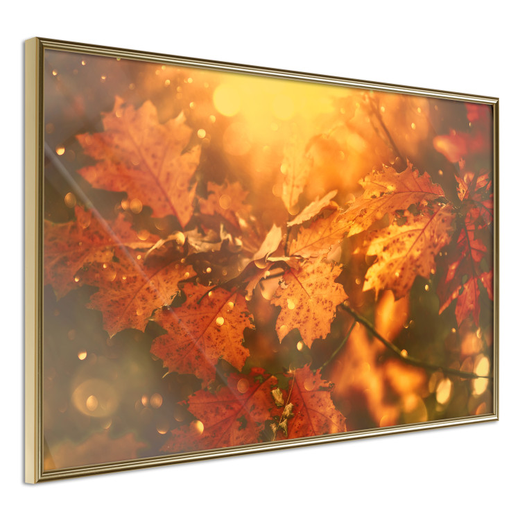 Poster Dancing Leaves - orange plants in golden autumn motif 123797 additionalImage 14