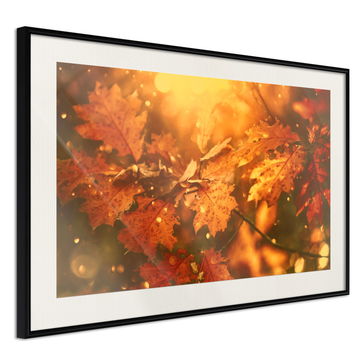 Poster Dancing Leaves - orange plants in golden autumn motif 123797 additionalImage 3