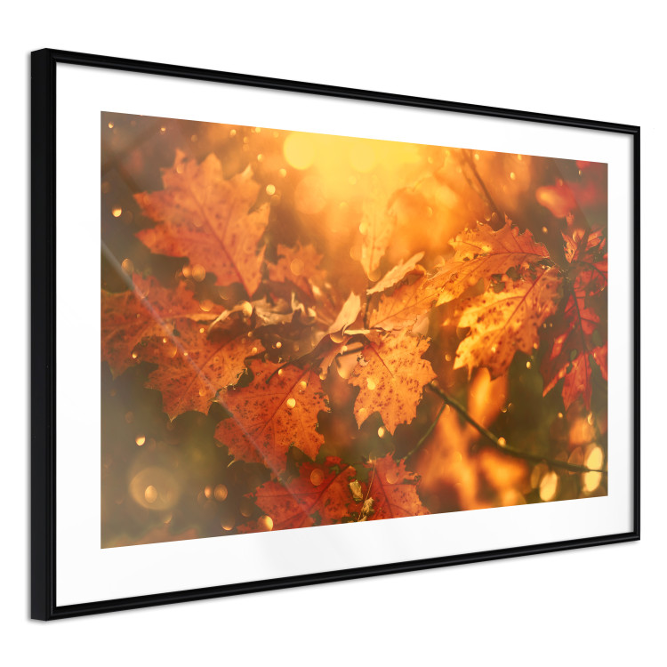 Poster Dancing Leaves - orange plants in golden autumn motif 123797 additionalImage 13