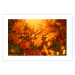 Poster Dancing Leaves - orange plants in golden autumn motif 123797 additionalThumb 25