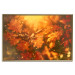 Poster Dancing Leaves - orange plants in golden autumn motif 123797 additionalThumb 16