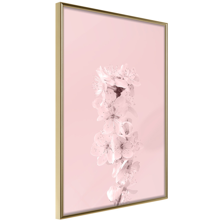 Wall Poster In Bloom - pink plant composition with flowers on solid background 127897 additionalImage 12