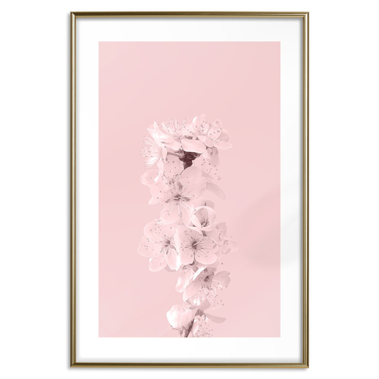 Wall Poster In Bloom - pink plant composition with flowers on solid background 127897 additionalImage 14
