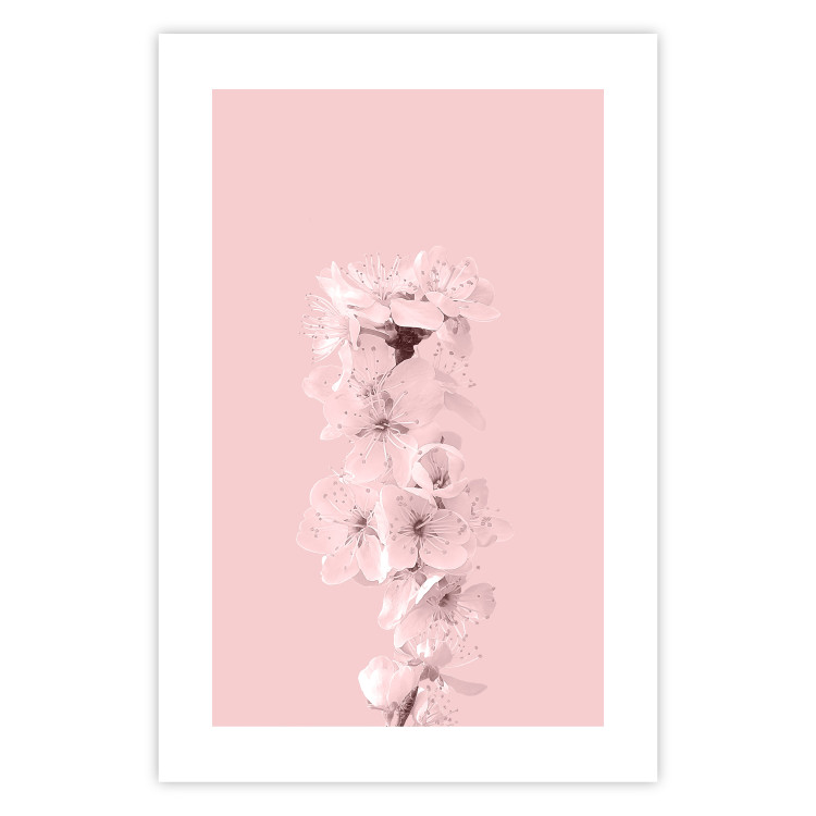 Wall Poster In Bloom - pink plant composition with flowers on solid background 127897 additionalImage 19