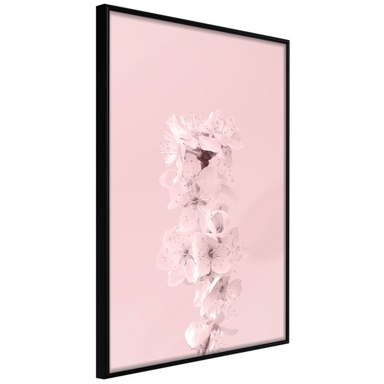 Wall Poster In Bloom - pink plant composition with flowers on solid background 127897 additionalImage 11