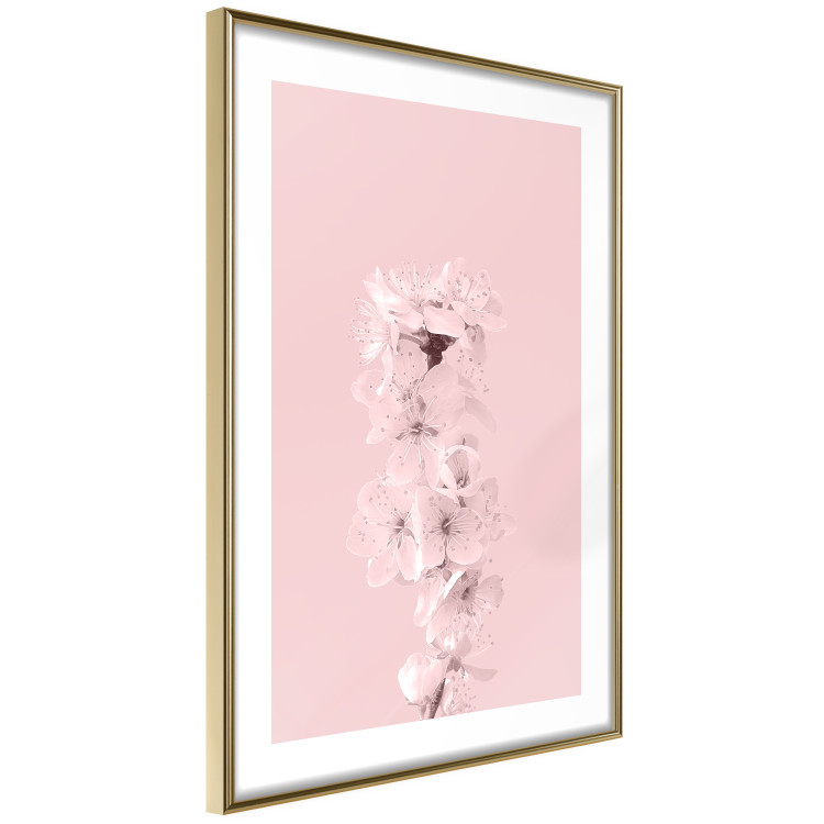 Wall Poster In Bloom - pink plant composition with flowers on solid background 127897 additionalImage 7