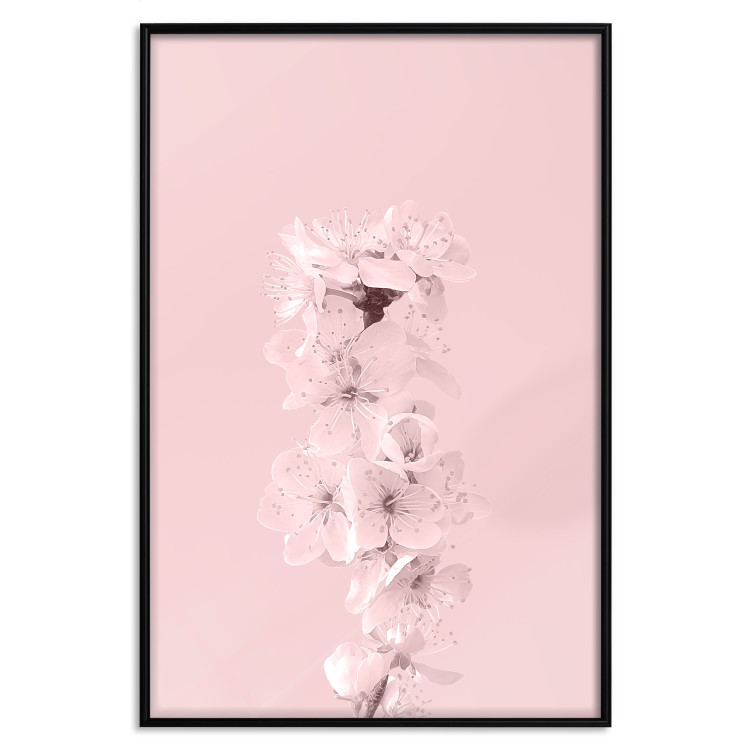 Wall Poster In Bloom - pink plant composition with flowers on solid background 127897 additionalImage 16