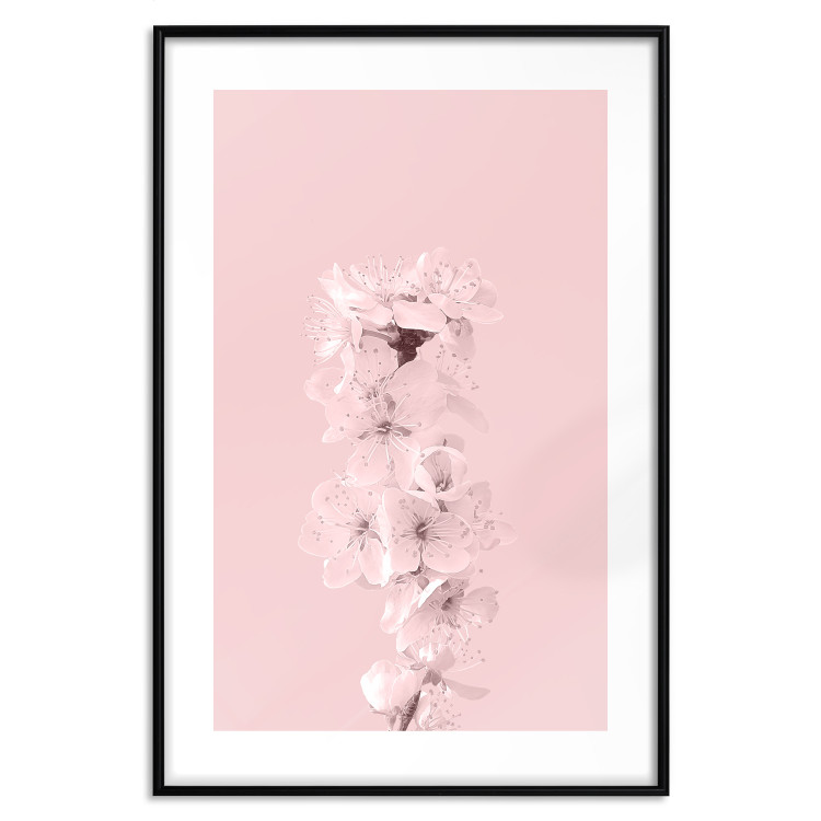 Wall Poster In Bloom - pink plant composition with flowers on solid background 127897 additionalImage 15