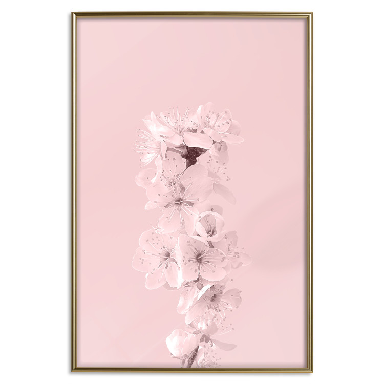 Wall Poster In Bloom - pink plant composition with flowers on solid background 127897 additionalImage 17