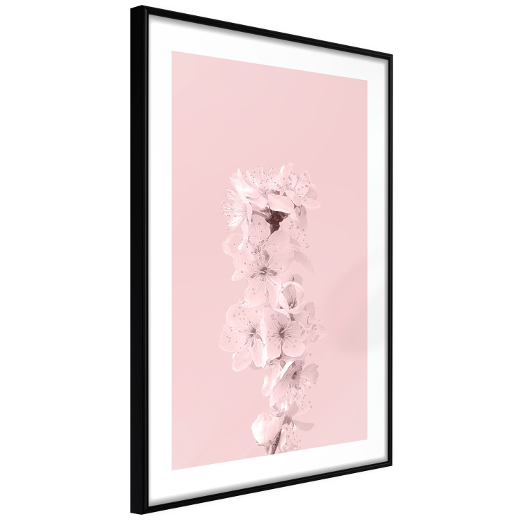 Wall Poster In Bloom - pink plant composition with flowers on solid background 127897 additionalImage 6
