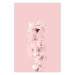 Wall Poster In Bloom - pink plant composition with flowers on solid background 127897