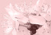 Wall Poster In Bloom - pink plant composition with flowers on solid background 127897 additionalThumb 9
