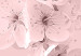 Wall Poster In Bloom - pink plant composition with flowers on solid background 127897 additionalThumb 10