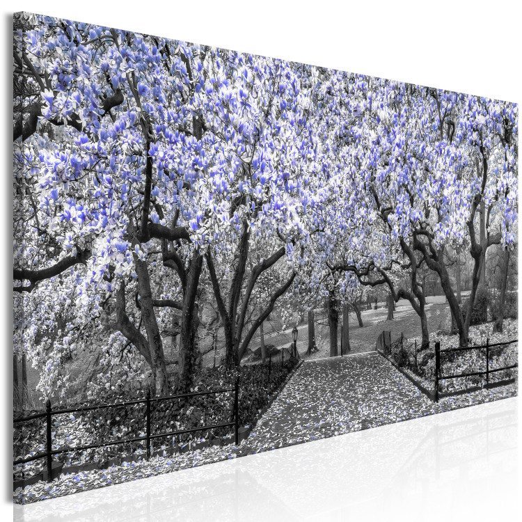 Canvas Print Blooming Magnolias - horizontal composition of violet shaded magnolia 128797 additionalImage 2