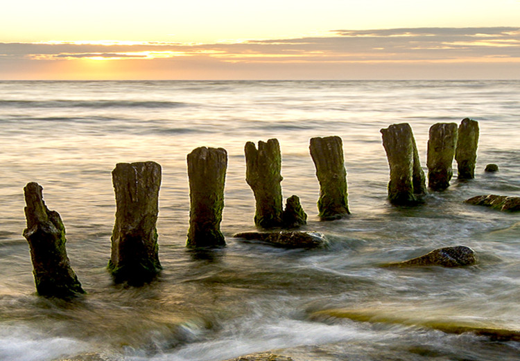 Large canvas print Wooden Breakwaters II [Large Format] 128897 additionalImage 5